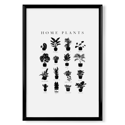 Linear home plants grey
