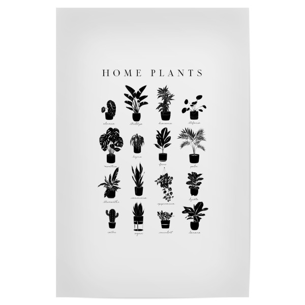 Poster 30x20 cm "Linear home plants grey" artboxONE - Natur,Streetart