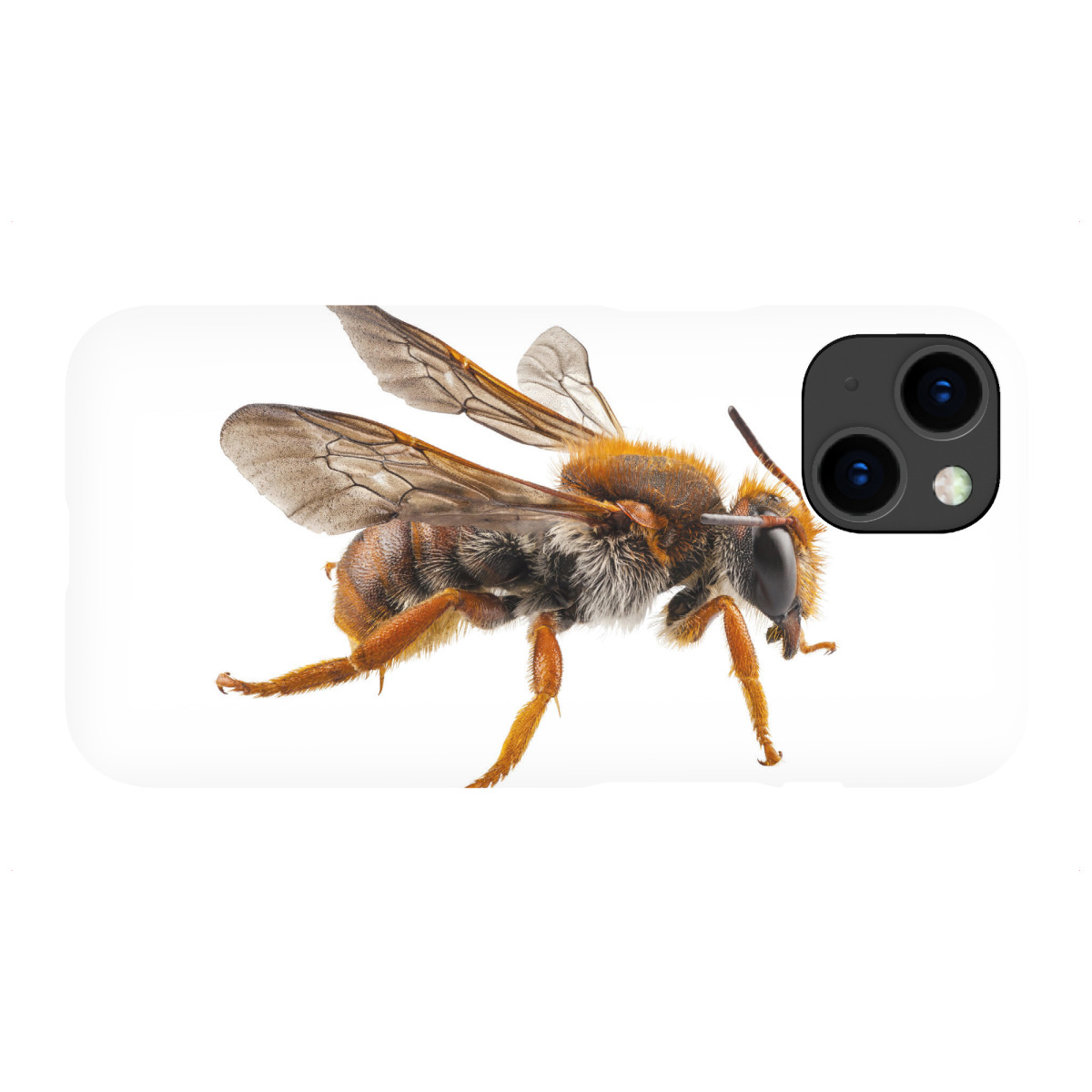 "Bee species Anthidium sticticum"für iPhone - Premium-Case Handyhülle artboxONE
