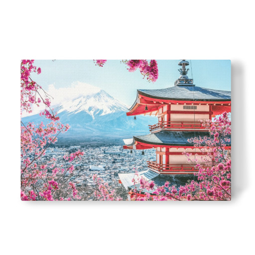 Pink Japan