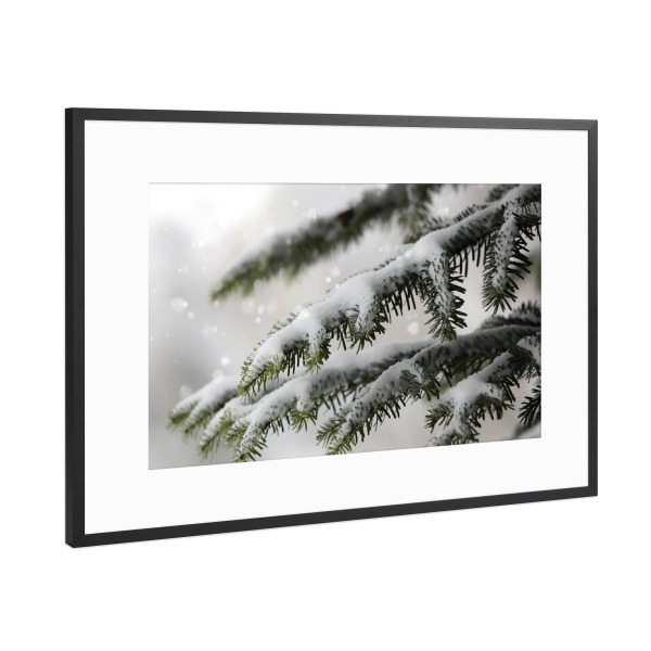 Poster mit Rahmen Schwarz (Metallic) "Tannenzweig mit Schneeflocken" artboxONE - Natur,Weihnachten
