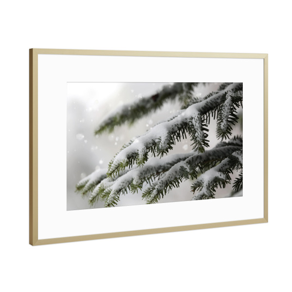 Poster mit Rahmen Gold "Tannenzweig mit Schneeflocken" artboxONE - Natur,Weihnachten