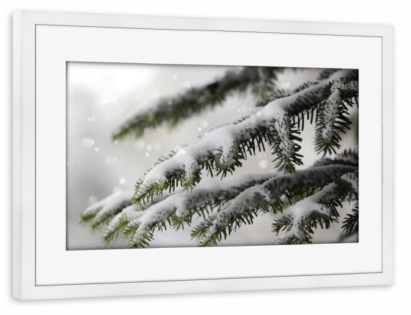 Poster mit Rahmen weiß "Tannenzweig mit Schneeflocken" artboxONE - Natur,Weihnachten