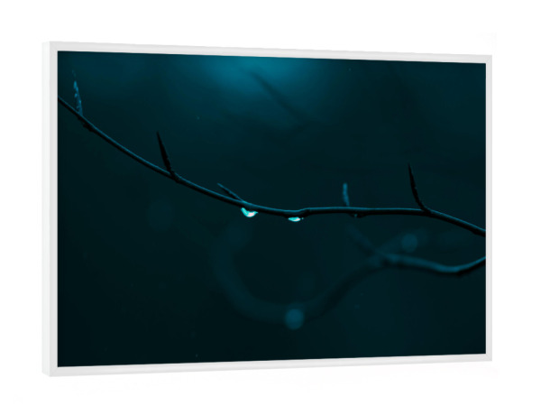 Poster mit weißem Rahmen "Zwei Regentropfen" artboxONE - Natur