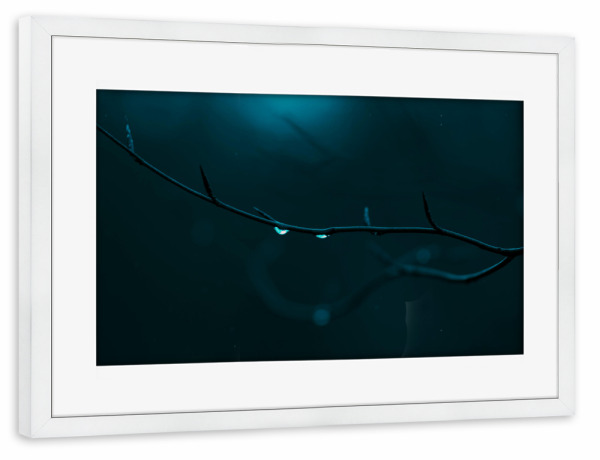 Poster mit Rahmen weiß "Zwei Regentropfen" artboxONE - Natur