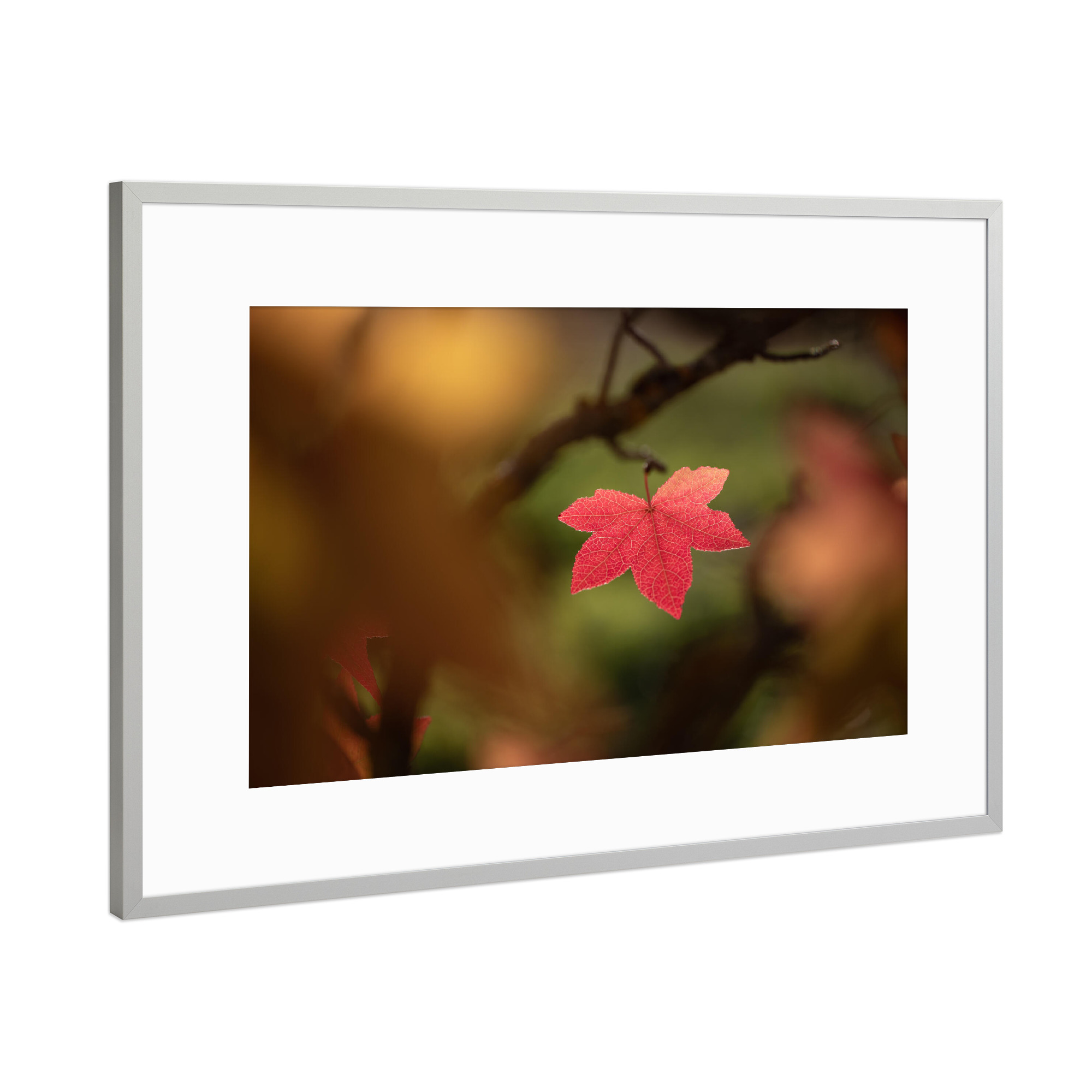 Poster mit Rahmen Silber "Rotes Herbstblatt" artboxONE - Natur,Floral