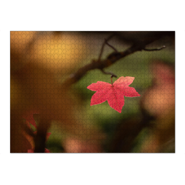 Puzzle Ravensburger "Rotes Herbstblatt" artboxONE - Natur,Floral - Ahornblatt,Ahorn,Acer,Herbst,Herbstfarbe,Blatt,Naturfoto,Naturfotografie,Herbstlich