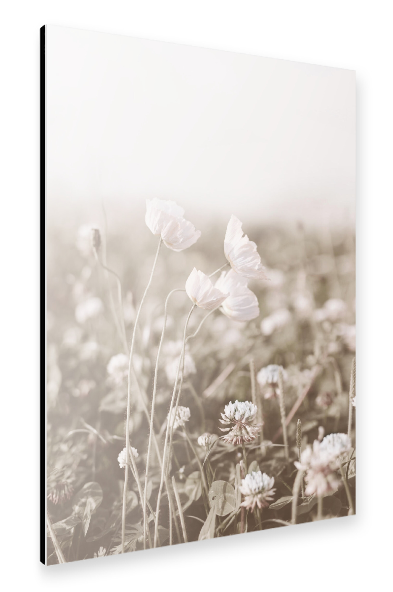 Alu-Dibond "Blooming Floral" 75x50 cm artboxONE