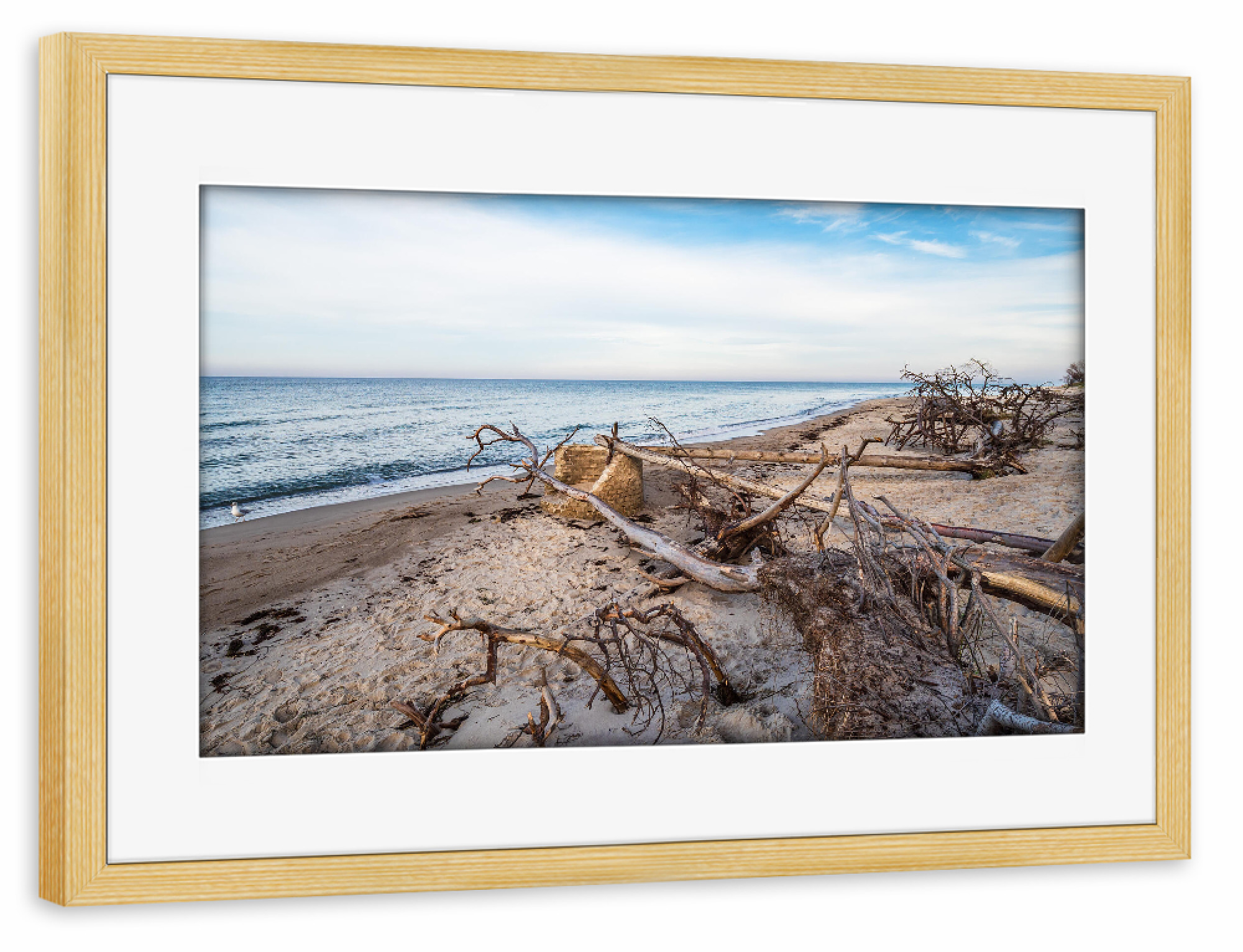 Poster mit Rahmen kiefer "Strand, Baumstämme und Ostsee" artboxONE - Natur,Reise,Reise / Strand und Meer