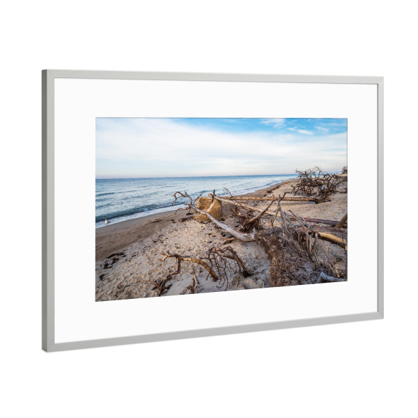 Poster mit Rahmen Silber "Strand, Baumstämme und Ostsee" artboxONE - Natur,Reise,Reise / Strand und Meer