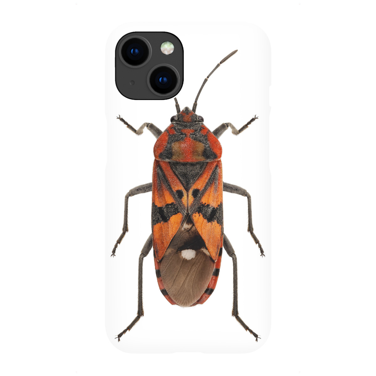 "Spilostethus pandurus"für iPhone - Premium-Case Handyhülle artboxONE