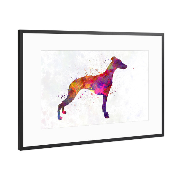 Poster mit Rahmen Schwarz (Metallic) "Whippet in watercolor" artboxONE - Tiere,Abstrakt