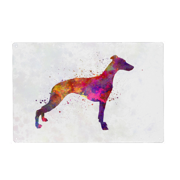 Metall Poster "Whippet in watercolor" artboxONE - Tiere,Abstrakt - Dog,Pet,Animal,Mammal,Watercolor,Illustration,Abstract,Hund,Bunt,Colorful