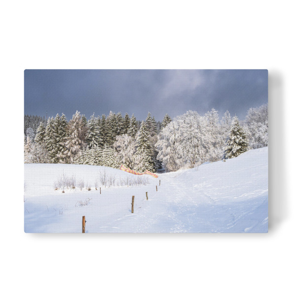 Leinwandbild "Thüringer Wald im Schnee" artboxONE - Natur,Reise