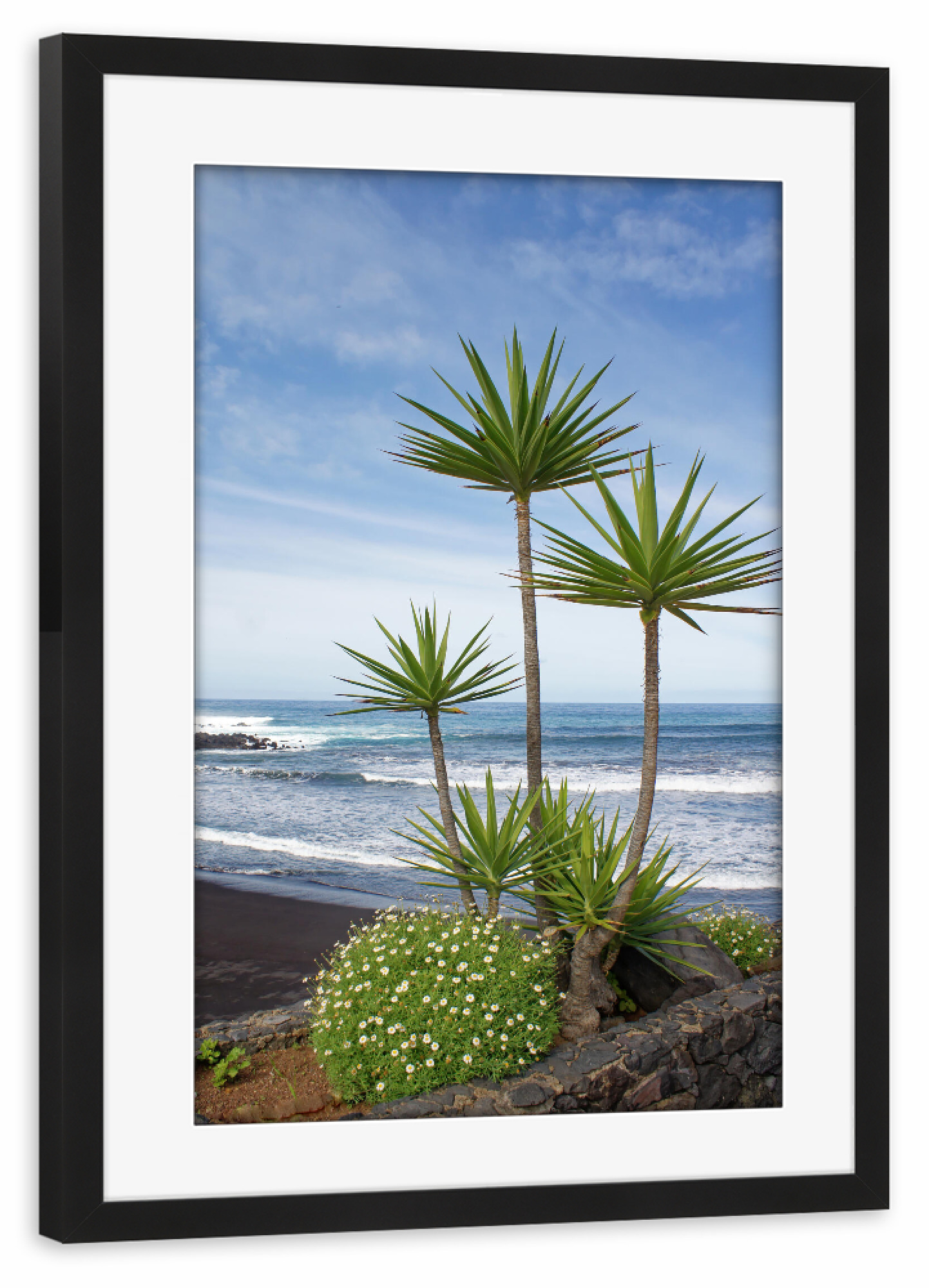Poster mit Rahmen schwarz "Yucca-Palmen-Trio auf Teneriffa" artboxONE - Natur,Reise,Reise / Strand und Meer,Reise / Länder