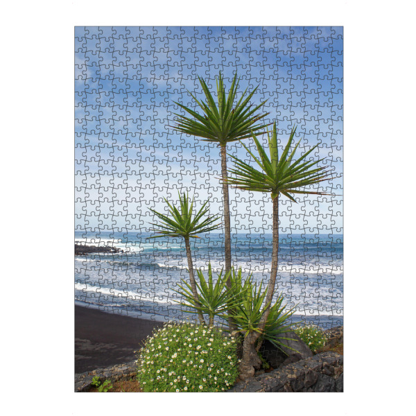 Puzzle Ravensburger "Yucca-Palmen-Trio auf Teneriffa" artboxONE - Natur,Reise,Reise / Strand und Meer,Reise / Länder