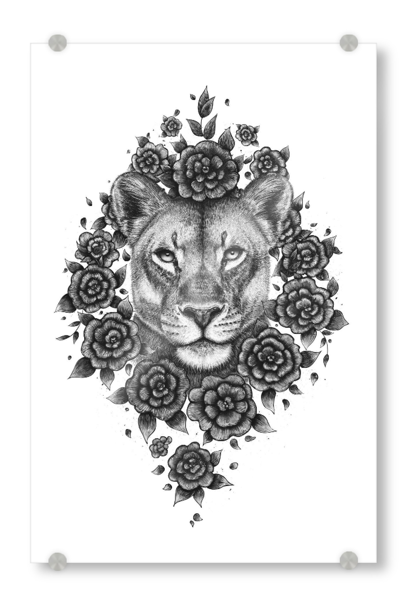 Acrylglasbild "Lioness in flowers" artboxONE - Natur,Floral,Tiere,Für Mama,Lustig