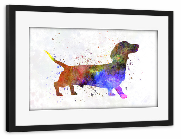 Poster mit Rahmen schwarz "Short Haired Dachshund" artboxONE - Tiere,Abstrakt