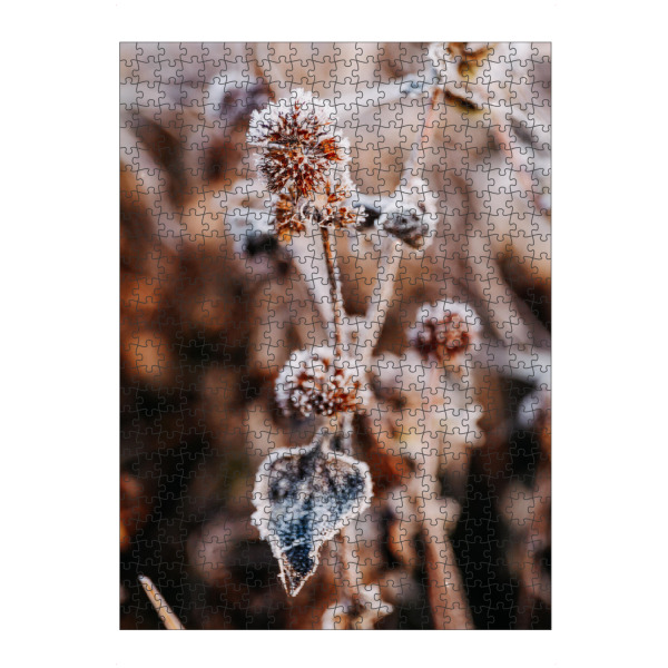 artboxONE Puzzle "Winter Blume" artboxONE - Natur,Floral - Natur,Blume,Winter,Schnee,Frost,Kalt,Nude,Nahaufnahme,Plant,Pflanze - Bild natur