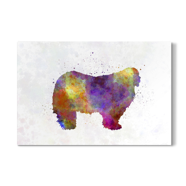 Galerie-Print "Komondor in watercolor" 30x20 cm artboxONE