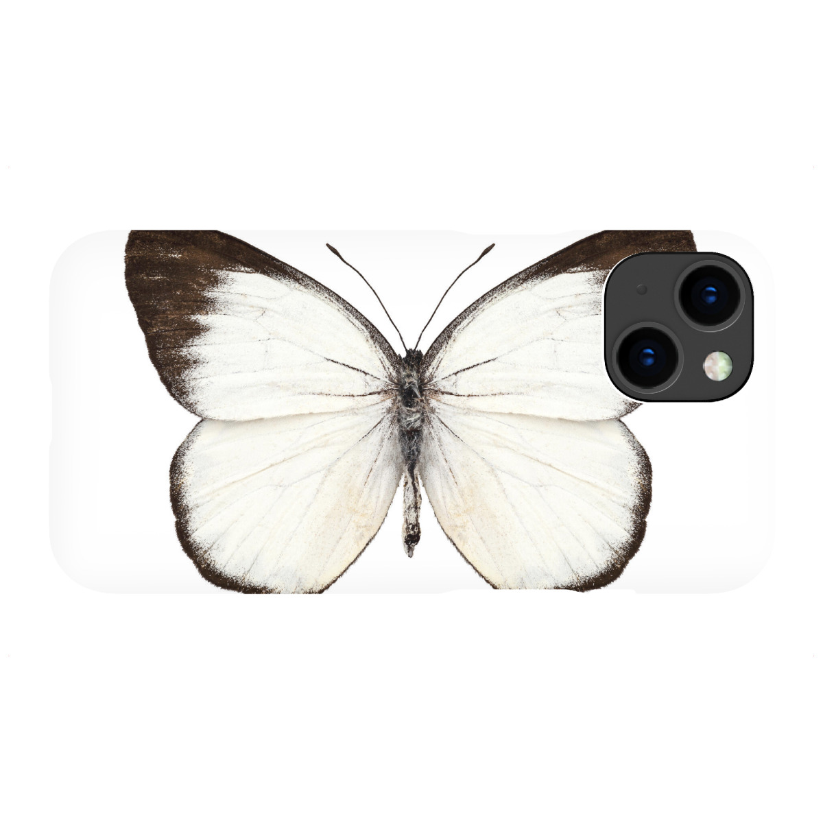 "Butterfly species Delias belisama"für iPhone - Premium-Case Handyhülle artboxONE