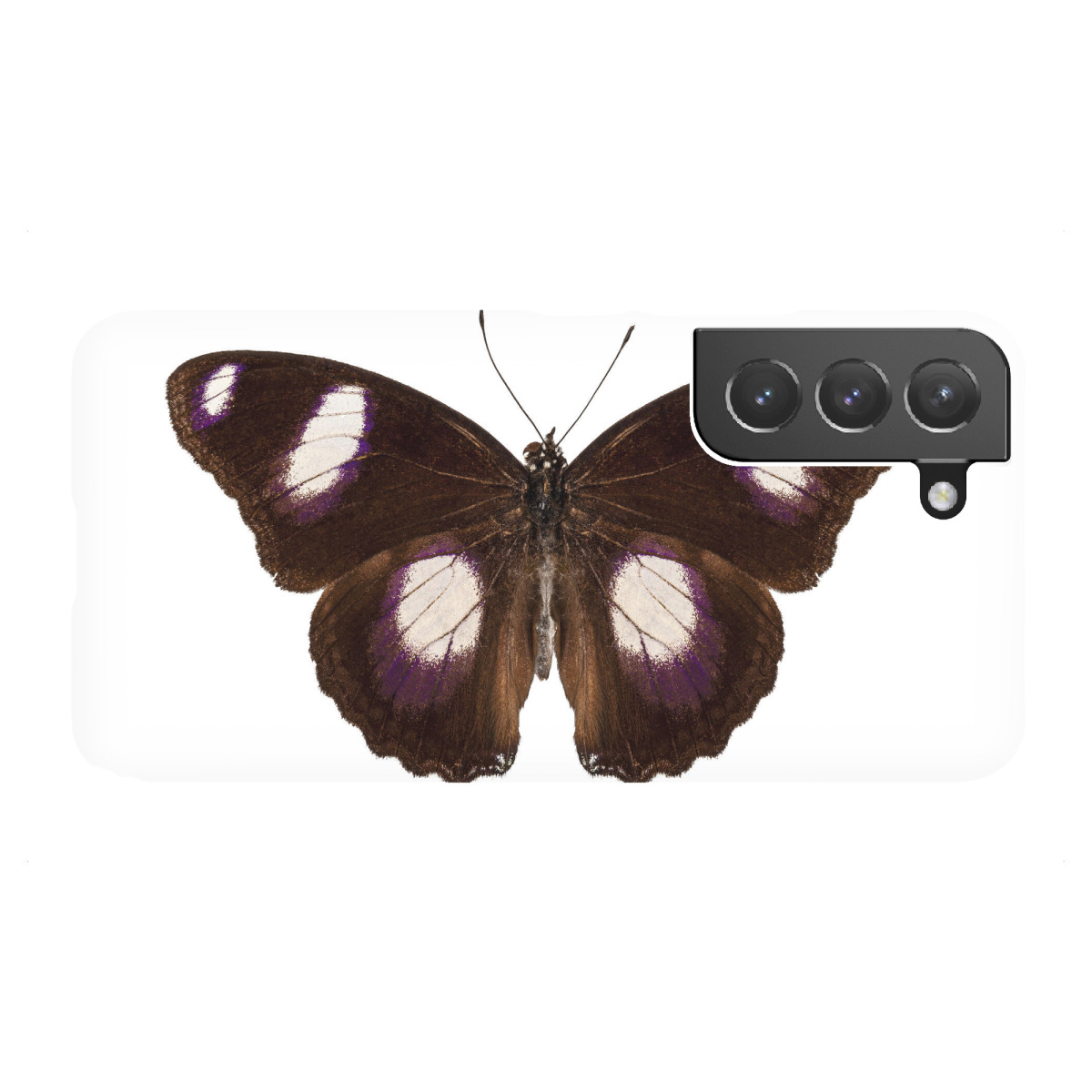 Samsung Galaxy "Butterfly species Hypolimnas" Premium-Case Handyhülle artboxONE