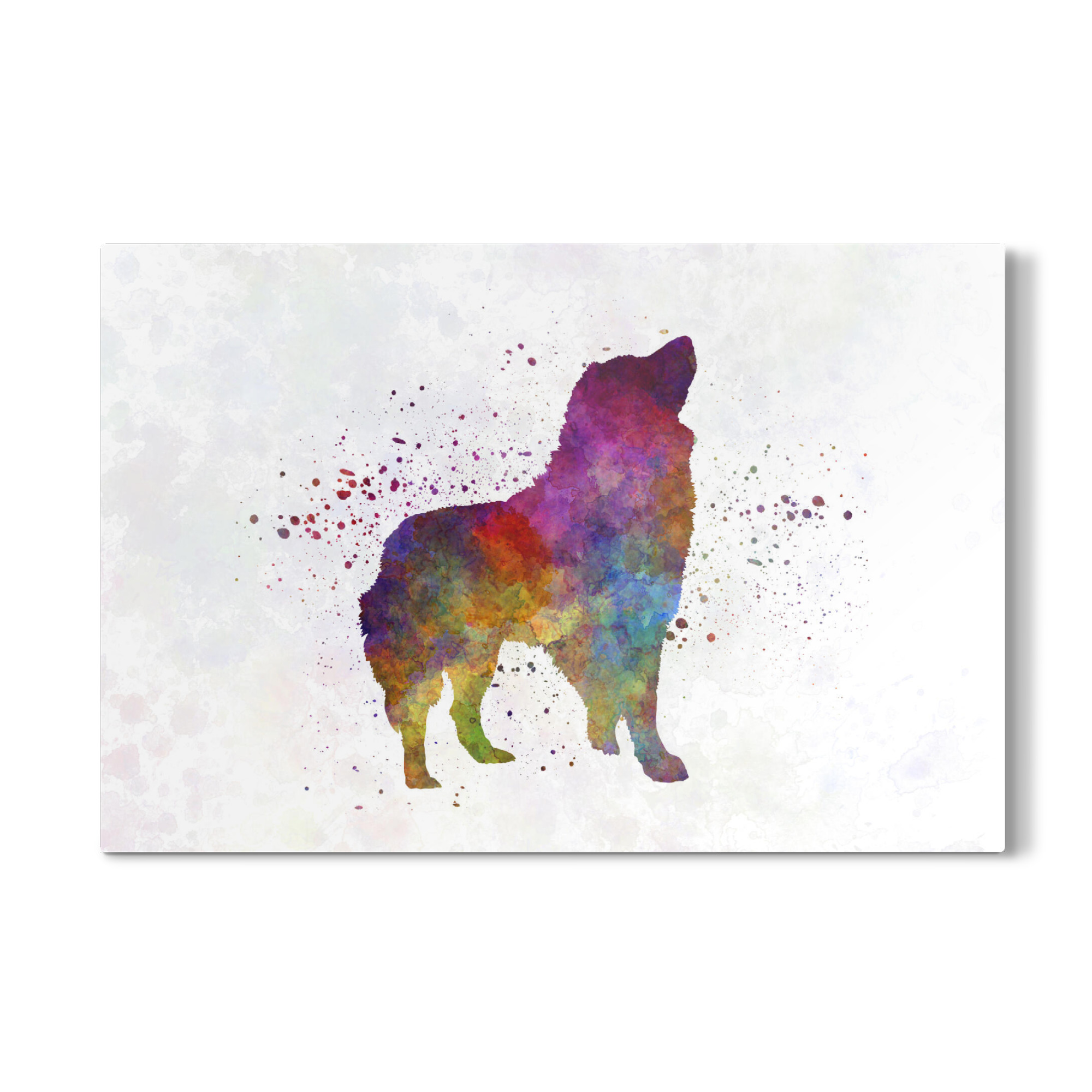 Galerie-Print "Romanian Carpathian Shepherd" 75x50 cm artboxONE