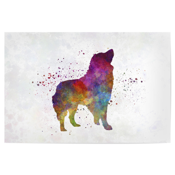 Poster 30x20 cm "Romanian Carpathian Shepherd" artboxONE - Tiere,Abstrakt - Dog,Pet,Animal,Mammal,Watercolor,Abstract,Hund