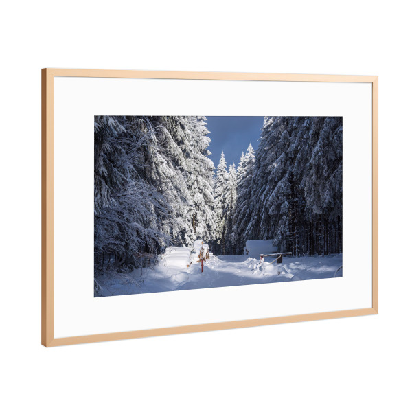Poster mit Rahmen Kupfer "Wolken, Bäume und Schnee" artboxONE - Natur,Reise
