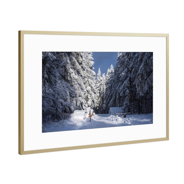 Poster mit Rahmen Gold "Wolken, Bäume und Schnee" artboxONE - Natur,Reise
