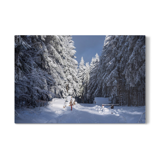Galerie-Print "Wolken, Bäume und Schnee" 30x20 cm artboxONE