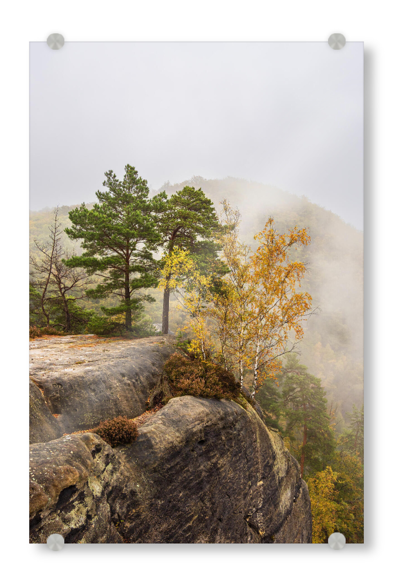 Acrylglasbild "Nebel, Felsen und Bäume" artboxONE - Natur,Reise