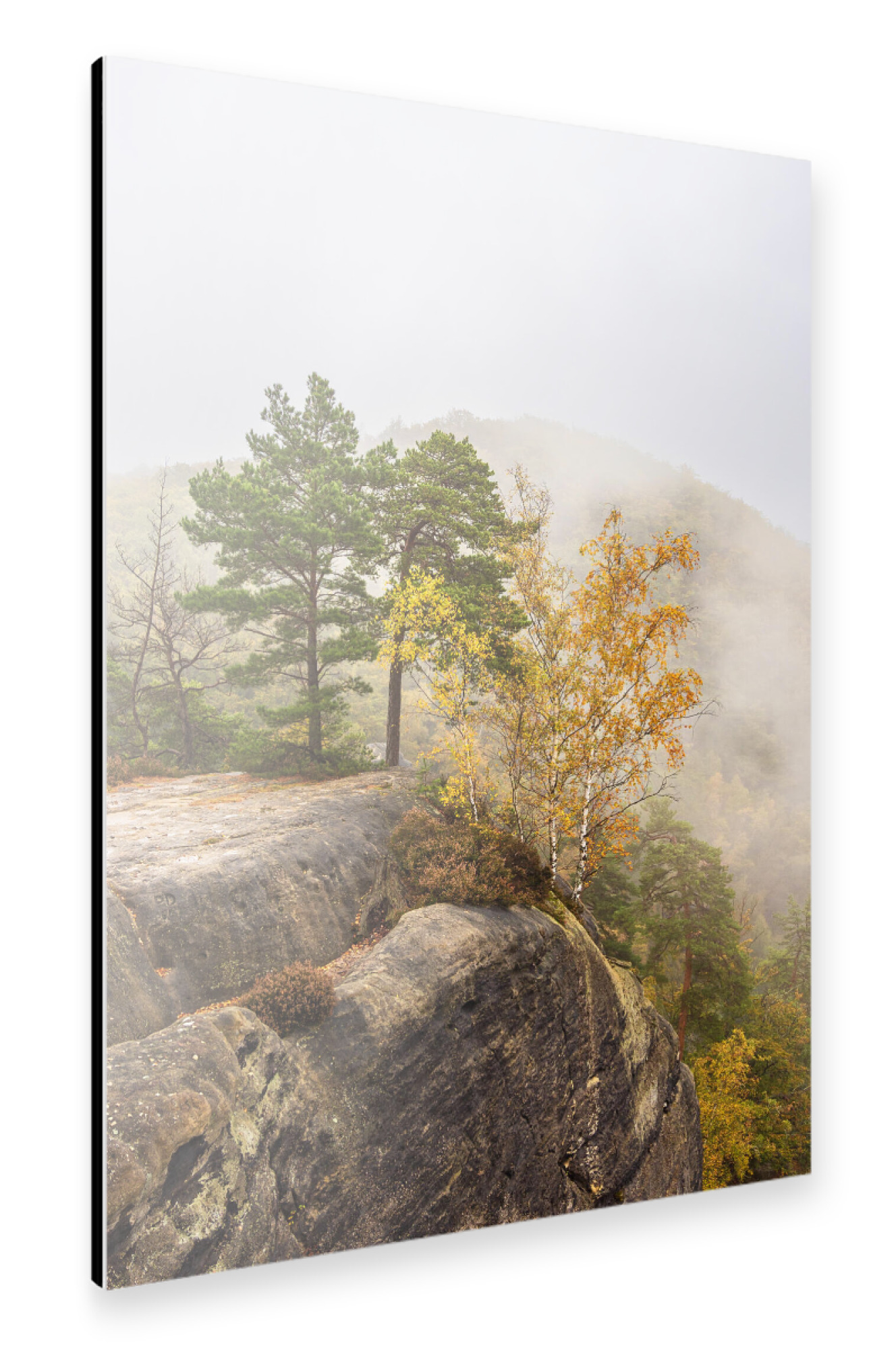 Alu-Dibond "Nebel, Felsen und Bäume" 30x20 cm artboxONE