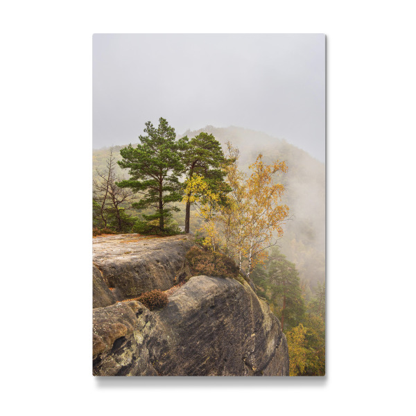 Galerie-Print "Nebel, Felsen und Bäume" 30x20 cm artboxONE