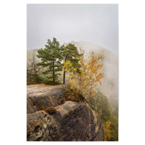 Poster "Nebel, Felsen und Bäume" artboxONE - Natur,Reise