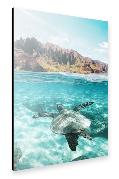 Alu-Dibond "Sea Turtle" 30x20 cm artboxONE