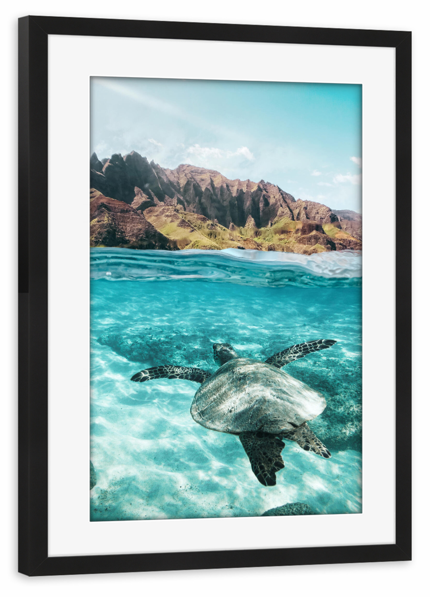 Poster mit Rahmen schwarz "Sea Turtle" artboxONE - Natur,Für Kinder,Tiere,Reise / Strand und Meer,Für Mama