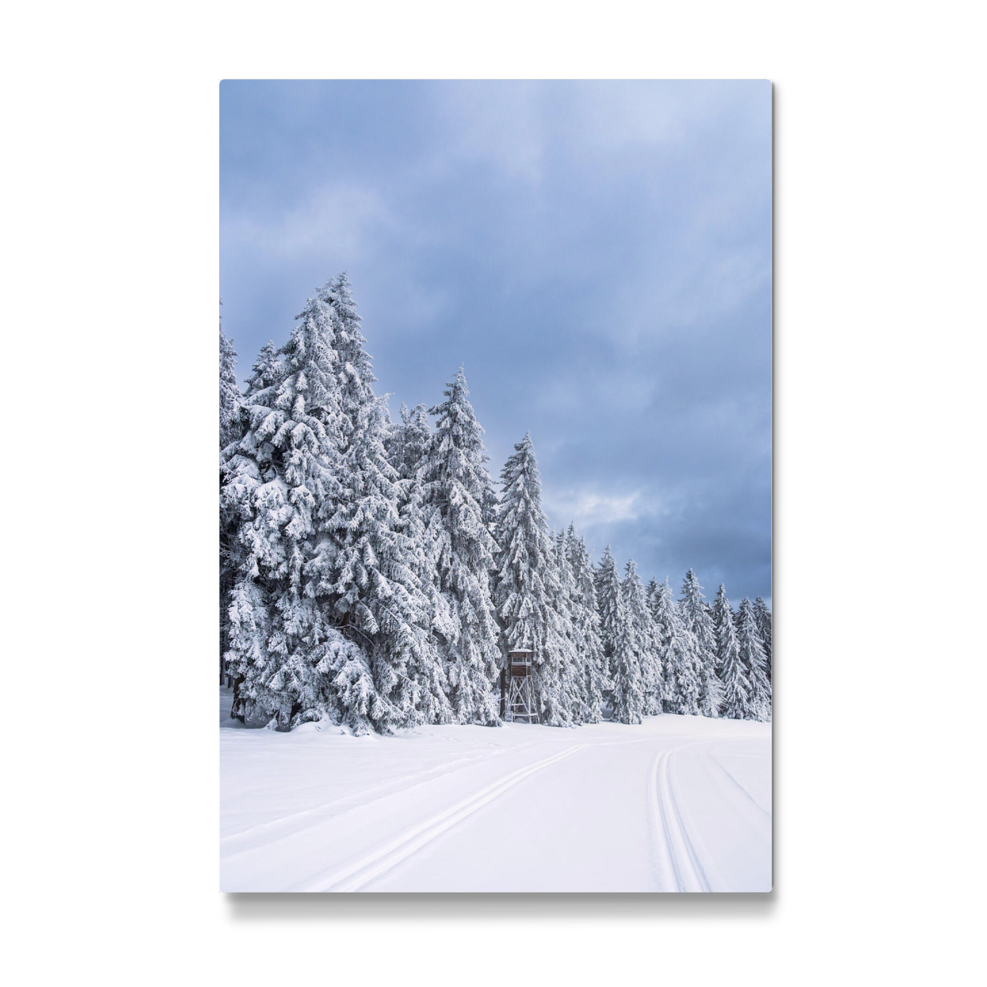 Galerie-Print "Schnee, Loipe und Bäume" 75x50 cm artboxONE