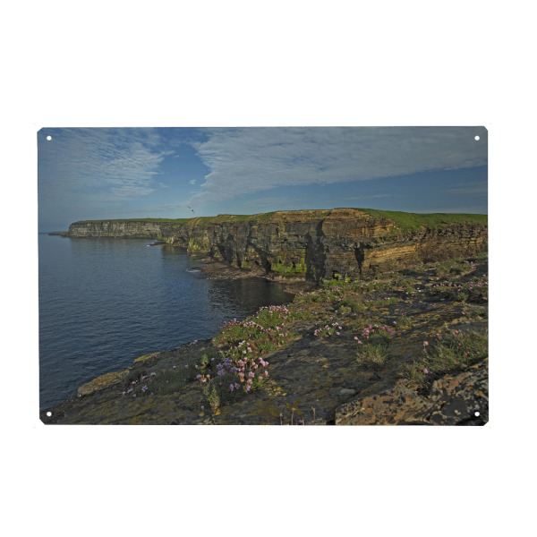 Metall Poster "Klippen von Logaglebe - Orkney" artboxONE - Natur,Reise,Reise / Länder