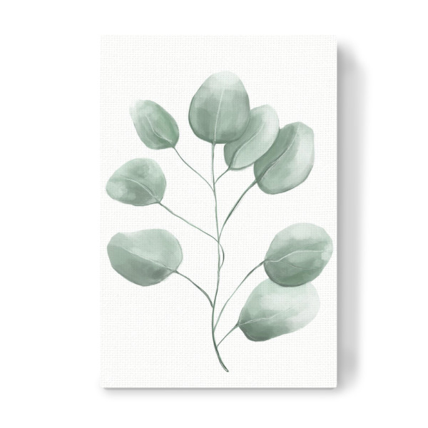 Leinwandbild "Eukalyptus Illustration" artboxONE - Natur - Eukalyptus,Illustration,Watercolor,Aquarell,Zweig,Floral,Natur,Botanisch,Leaves,Blätter