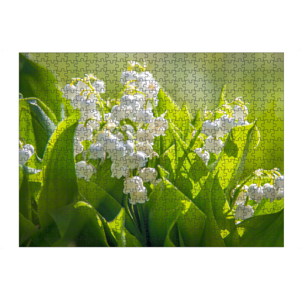 artboxONE Puzzle "Maiglöckchenstrauß" artboxONE - Natur,Floral