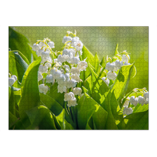 Puzzle Ravensburger "Maiglöckchenstrauß" artboxONE - Natur,Floral