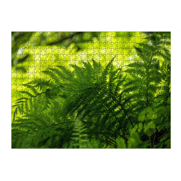Puzzle Ravensburger "Fern in the shade" artboxONE - Natur - Farn,Pflanzen,Schatten,Wald,Grüne lunge,Plants,Natur,Nature - Bild farn