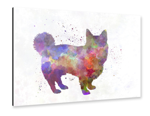 Alu-Dibond "Swedish Vallhund in watercolor" 30x20 cm artboxONE