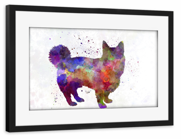 Poster mit Rahmen schwarz "Swedish Vallhund in watercolor" artboxONE - Tiere,Abstrakt