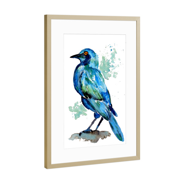Poster mit Rahmen Gold "Kleiner türkiser Vogel" artboxONE - Natur,Tiere