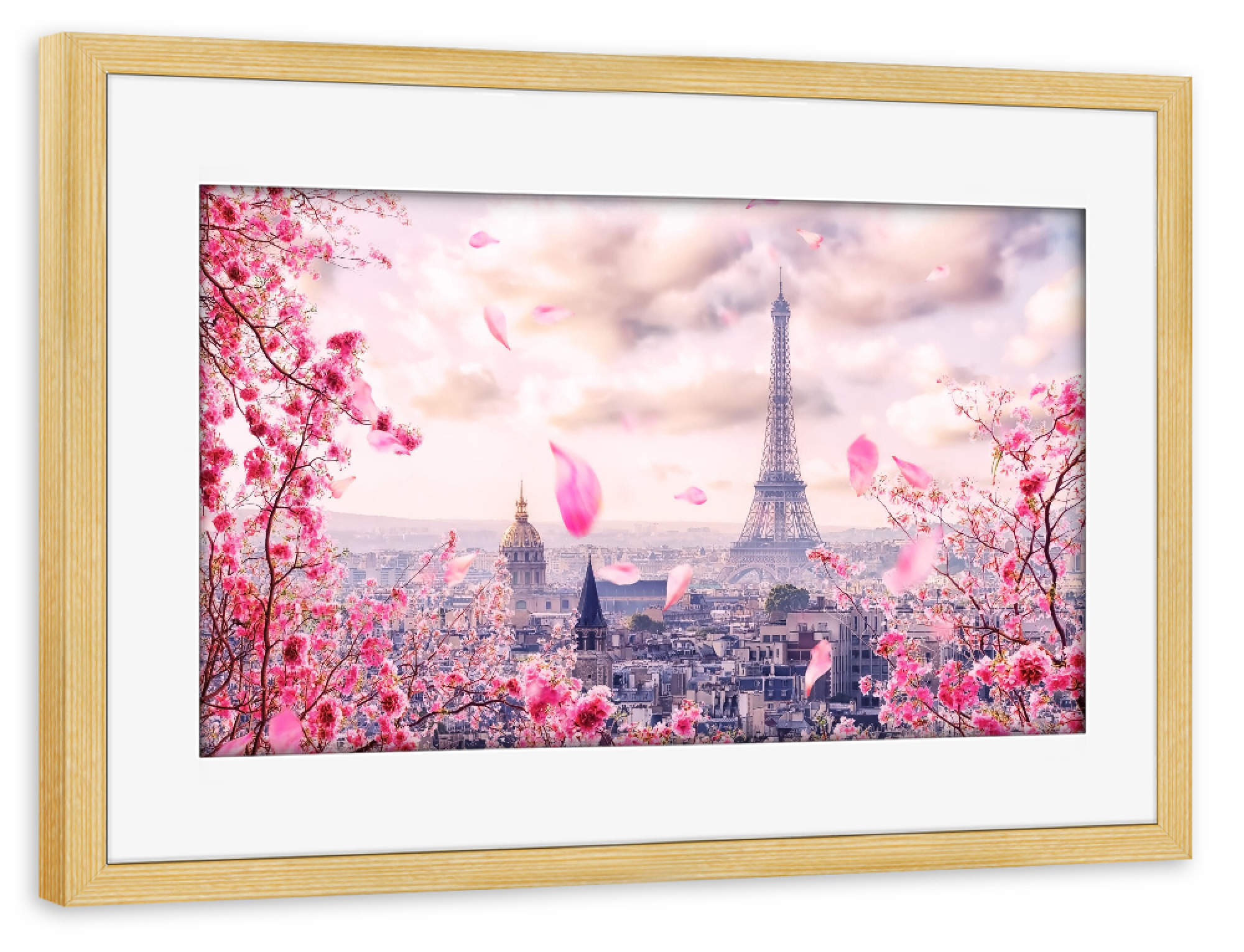 Poster mit Rahmen kiefer "Sakura In Paris" artboxONE - Städte,Reise,Architektur,Städte / Paris,Reise / Länder