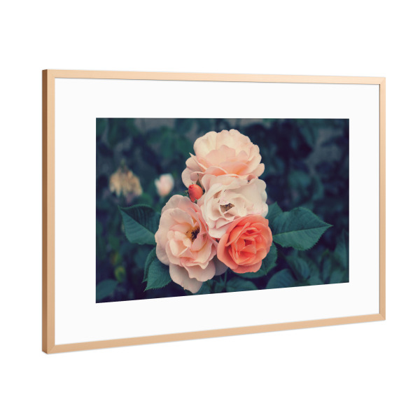 Poster mit Rahmen Kupfer "Vintage Rosen" artboxONE - Natur,Floral
