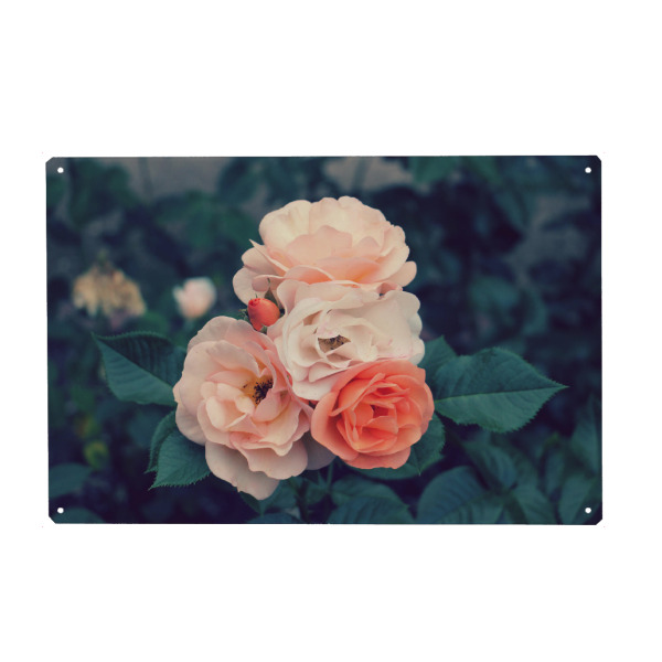 Holzbild "Vintage Rosen" artboxONE - Natur,Floral