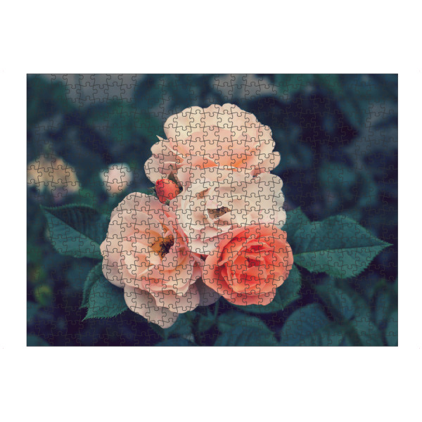 Puzzle Ravensburger "Vintage Rosen" artboxONE - Natur,Floral